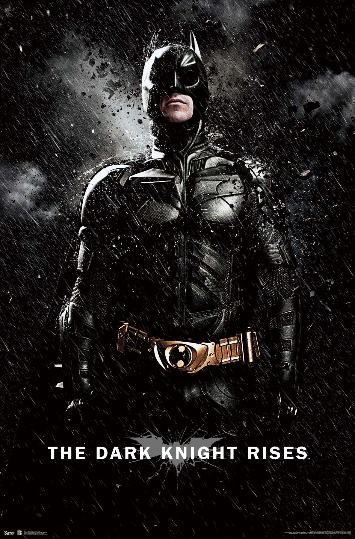 DC Comics Movie - The Dark Knight Rises - Batman Rain Poster | eBay